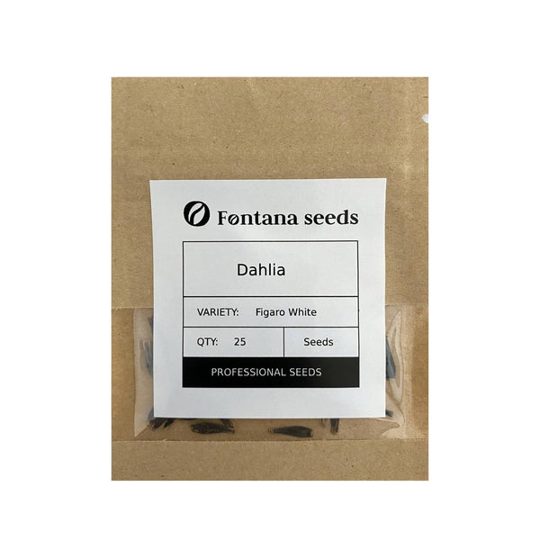 Dahlia Figaro White Seeds Pack