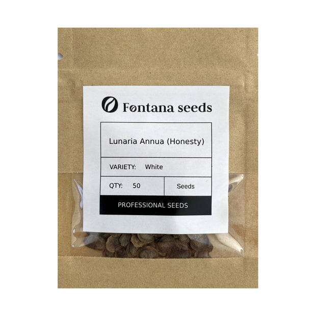 Lunaria Seeds White