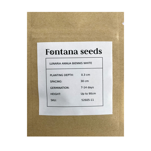 Lunaria seed white