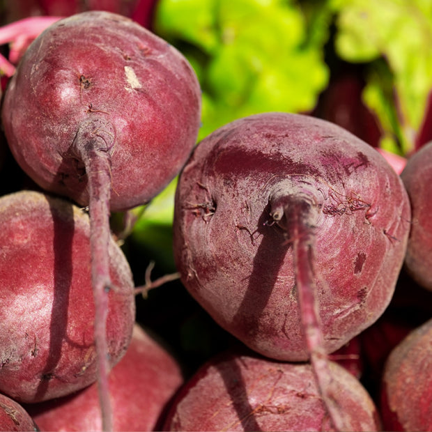 Red Beetroot Seeds