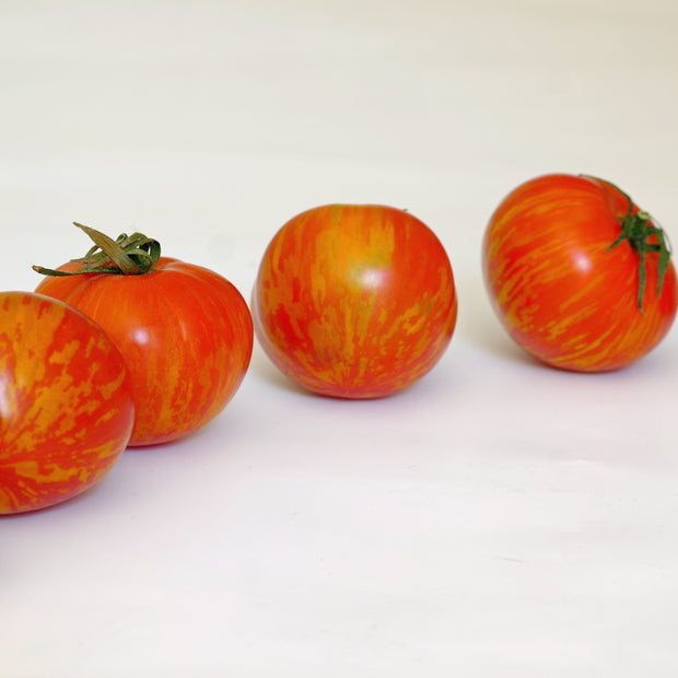 Organic Tomato Tigerella