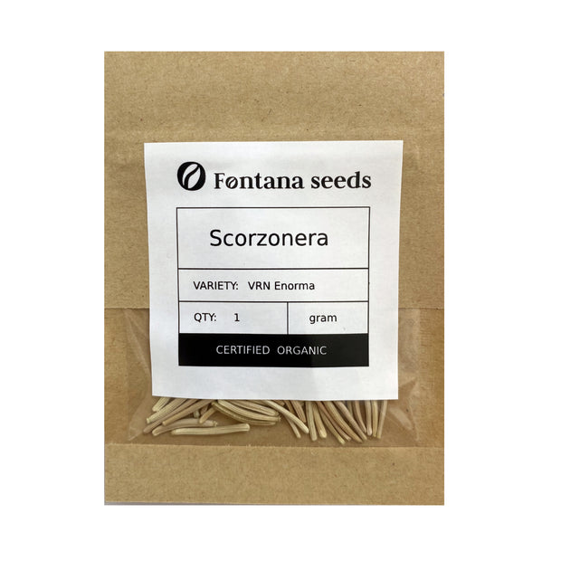 Scorzonera seeds bio